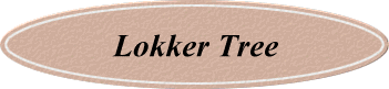 Lokker Tree